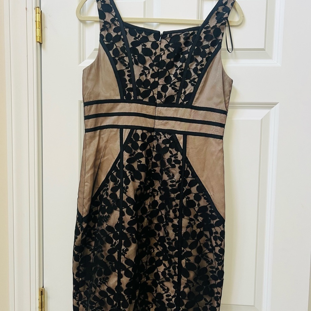 COPY - Jax size 8 stunning Black and Tan Lace Dress - Picture 5 of 7